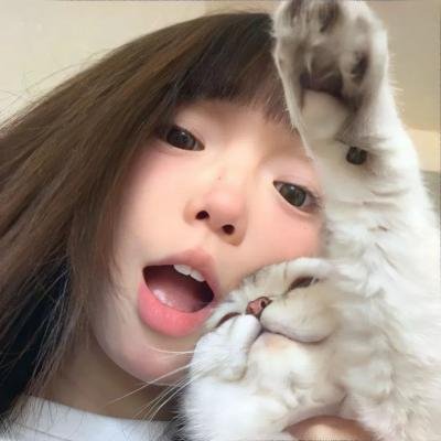 沙普的鹰饰